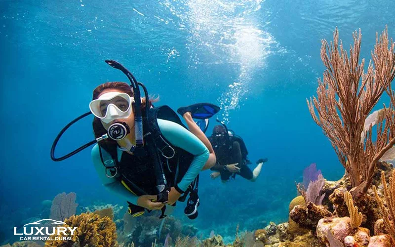 Scuba Diving in Musandam 